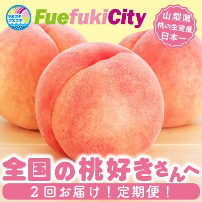 【発送月固定定期便】2026年発送 桃 食べ比べ 白鳳系 白桃系全2回