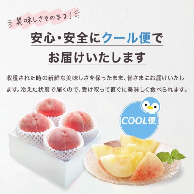 【発送月固定定期便】2026年発送 桃 食べ比べ 白鳳系 白桃系全2回