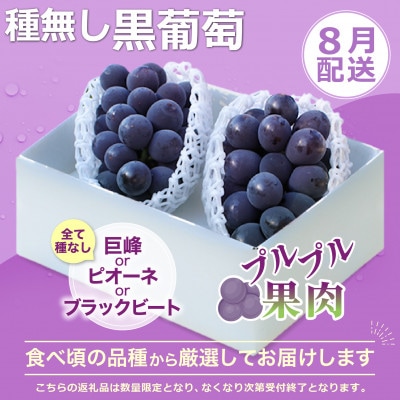 【発送月固定定期便】2026年発送 桃 種無し黒ぶどう全2回