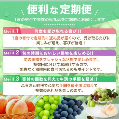 【発送月固定定期便】2026年発送 桃 種無し黒ぶどう全2回