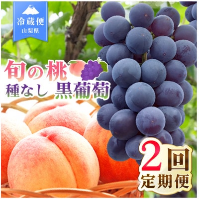 【発送月固定定期便】2026年発送 桃 種無し黒ぶどう全2回