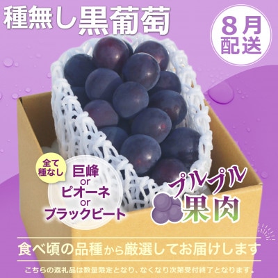 【発送月固定定期便】2026年発送 黒葡萄 シャインマスカット全2回