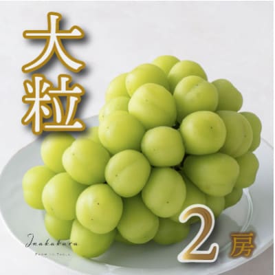 【笛吹市一宮町産】Inakakara大粒シャインマスカット2房