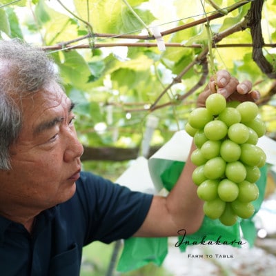 【笛吹市一宮町産】Inakakara大粒シャインマスカット2房