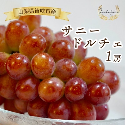 Inakakara厳選! 希少な大粒サニードルチェ1房