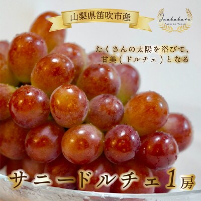 Inakakara厳選! 希少な大粒サニードルチェ1房