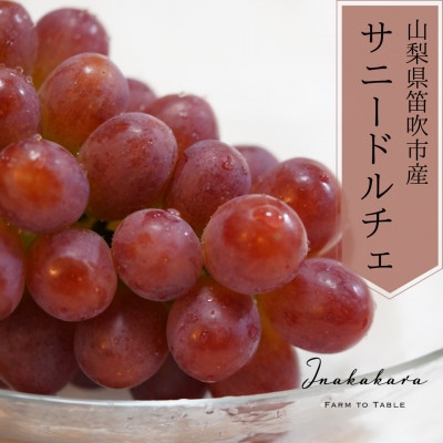 2023年8月下旬より順次発送予定 Inakakaraの希少な大粒サニードルチェ二房(約1.2kg)