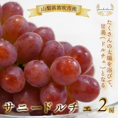 Inakakara厳選!　希少な大粒サニードルチェ2房