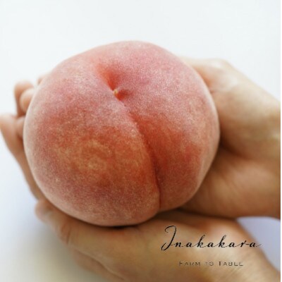 【笛吹市産】Inakakara　ファーストクラス桃4玉(約1.6kg)
