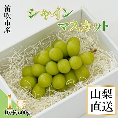 Inakakara厳選!笛吹市産シャインマスカット1房(約600g)