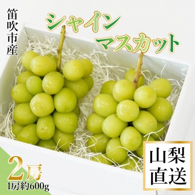 Inakakara厳選! 笛吹市産シャインマスカット2房(約1.2kg)
