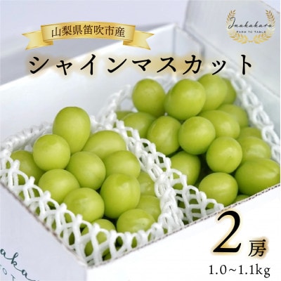 Inakakara厳選! 笛吹市産シャインマスカット2房(約1.0～1.1kg)