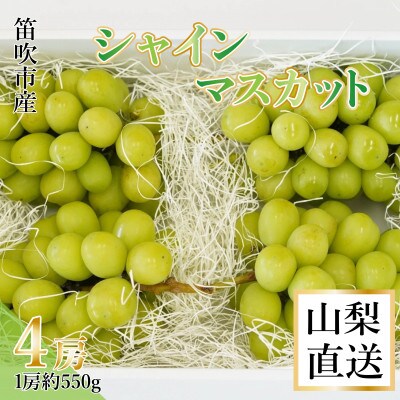 【送料無料】シャインマスカット4房