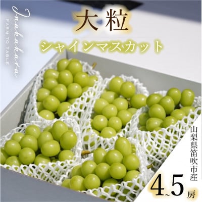 Inakakara厳選!  笛吹市産 シャインマスカット4～5房 (2.5～2.6kg)