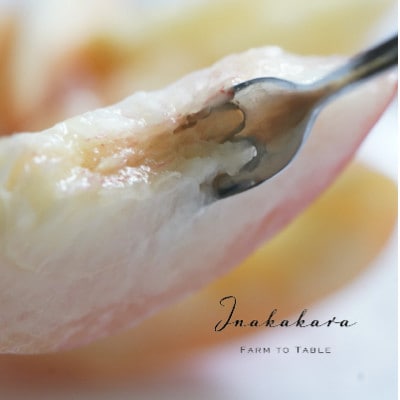 【笛吹市産】Inakakara　プレミアムエコノミー桃2玉(1玉約300g)