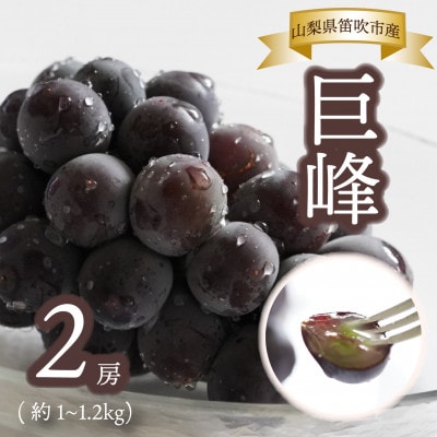 【山梨県笛吹市産】Inakakara 巨峰 2房(計1～1.2kg)
