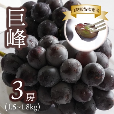 【山梨県笛吹市産】Inakakara 巨峰 3房(計1.5～1.8kg)
