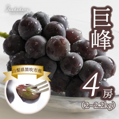 【山梨県笛吹市産】Inakakara 巨峰 4房(計2～2.2kg)