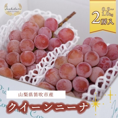 Inakakara厳選「クイーンニーナ」2房(計約0.9～1.0kg)