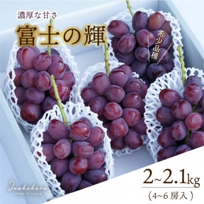 Inakakara厳選! 富士の輝 4～6房(計2～2.1kg)