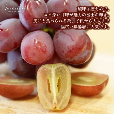 Inakakara厳選! 富士の輝 4～6房(計2～2.1kg)