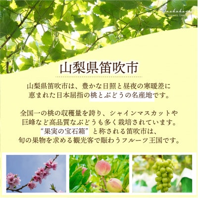 Inakakara厳選! 富士の輝 4～6房(計2～2.1kg)