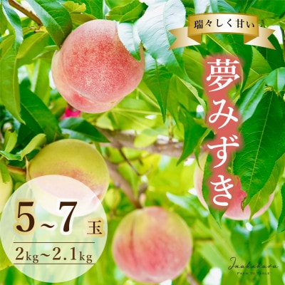 Inakakaka 瑞々しく甘い 夢みずき 5～7玉(計2～2.1kg)