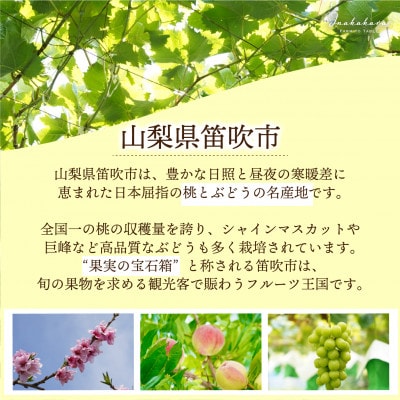 Inakakara厳選! 果汁溢れる「白雪桃」 8～10玉(計2.6～2.7kg)