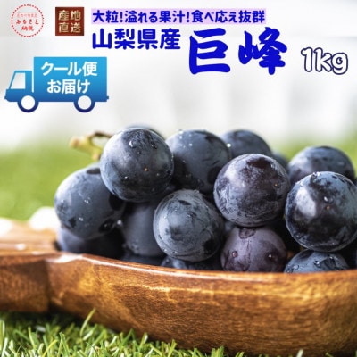安心のクール便発送　山梨県産　 巨峰 1kg　(2房)