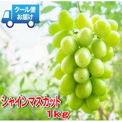 安心のクール便発送　シャインマスカット 1kg (2房)