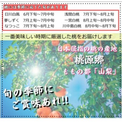 安心のクール便でお届け　山梨県産　桃　2kg 　4～5個入