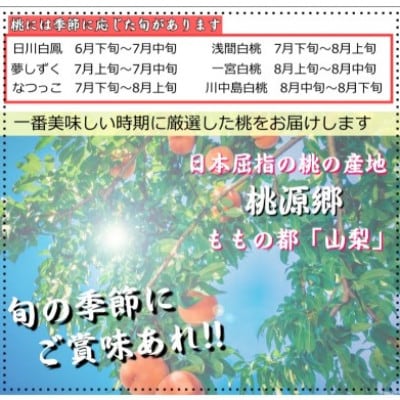安心のクール便でお届け　山梨県産　桃　 3kg　9～11個入