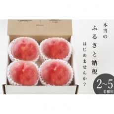 大玉桃(品種おまかせ)　4個(約1.5kg)