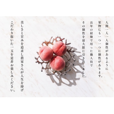 大玉桃(品種おまかせ)　6個(約2.7kg)