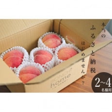 訳あり桃(品種おまかせ)　約1.5kg | ふるさと納税のお礼品