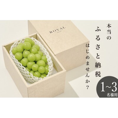 大粒シャインマスカット　1房約700g