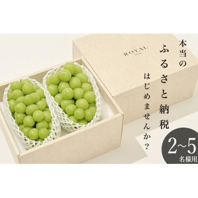 大粒シャインマスカット　2房(約1.3kg)