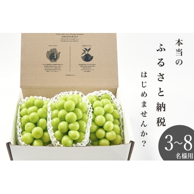 大粒シャインマスカット　3房(約2.1kg)