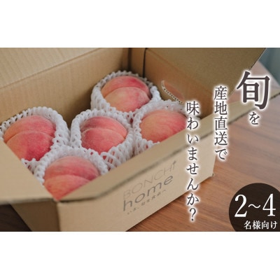 ＜2025年先行受付＞笛吹市産 ご家庭用 桃 約1.5kg(3～5個)