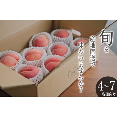 ＜2025年先行受付＞笛吹市産 ご家庭用 桃 約3kg(5～8個)
