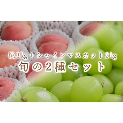 【発送月固定定期便】<2025年先行受付>笛吹市自慢のご家庭用桃とシャインマスカット 全2回