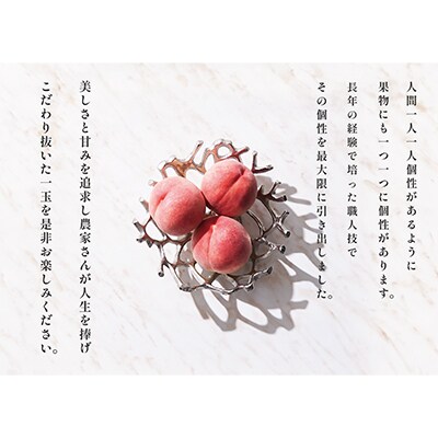 【発送月固定定期便】<2025年先行受付>笛吹市自慢のご家庭用桃とシャインマスカット 全2回