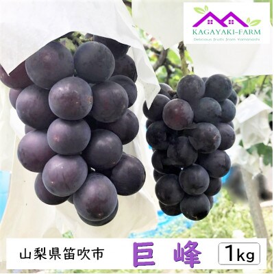 種なし巨峰　1kg