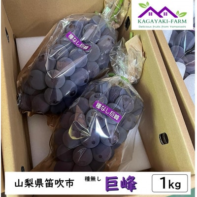 【2025年7月下旬より順次発送】種なし巨峰　約1kg