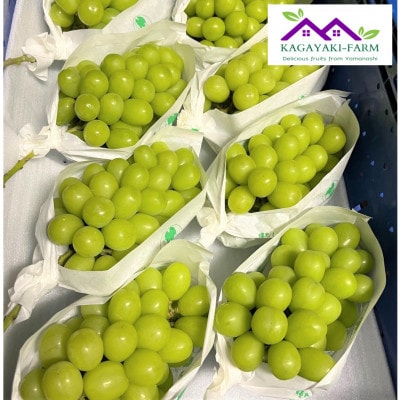 【2026年9月上旬より順次発送】シャインマスカット　約2.4kg