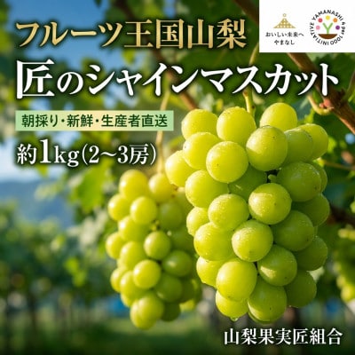 【2026年先行受付】山梨県産　匠のシャインマスカット　1kg(2～3房)