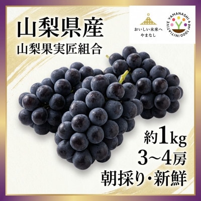 【2026年先行受付】山梨県産　紫玉　1kg(3～4房)