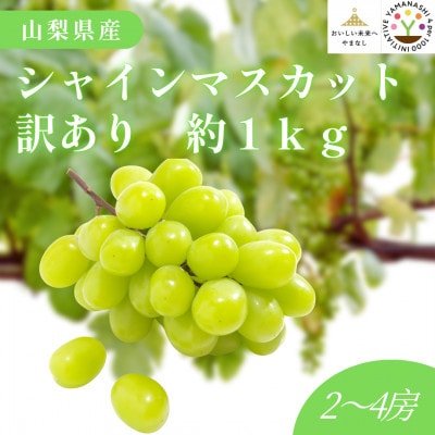【2026年先行受付】山梨県産 匠のシャインマスカット 訳あり 約1kg(2～4房)