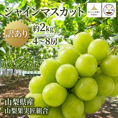 【2026年先行受付】山梨県産 匠のシャインマスカット 訳あり 約2kg(4～8房)
