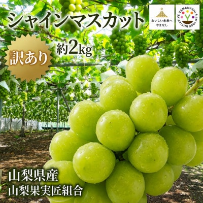 【2026年先行受付】山梨県産 匠のシャインマスカット 訳あり 約2kg